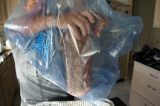 Place in Ziploc Bag to Marinate Overnight